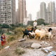 Image for article titled Photos: Inside China’s unknown mega-city